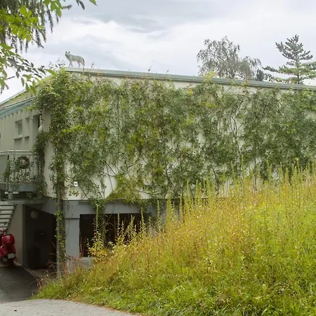 Am Seerosenweiher شقة *