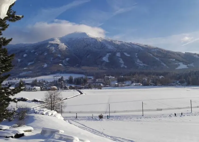 Am Seerosenweiher إنسبروك