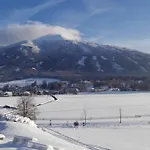Am Seerosenweiher Innsbruck